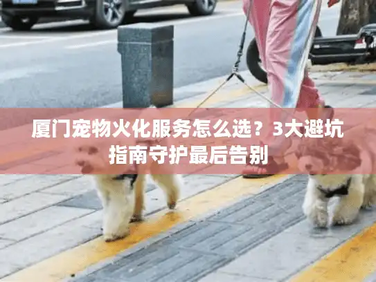 厦门宠物火化服务怎么选？3大避坑指南守护最后告别