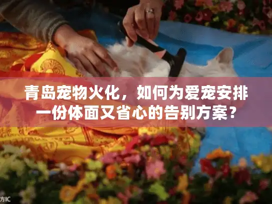青岛宠物火化，如何为爱宠安排一份体面又省心的告别方案？