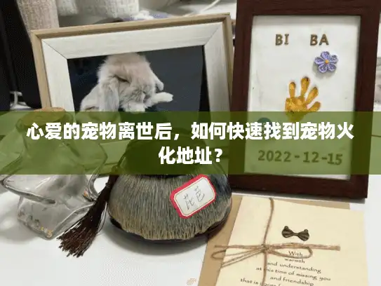 心爱的宠物离世后，如何快速找到宠物火化地址？