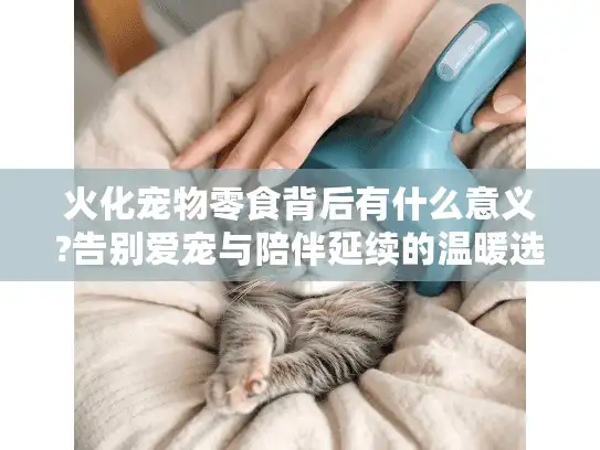 火化宠物零食背后有什么意义?告别爱宠与陪伴延续的温暖选择