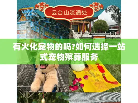 有火化宠物的吗?如何选择一站式宠物殡葬服务