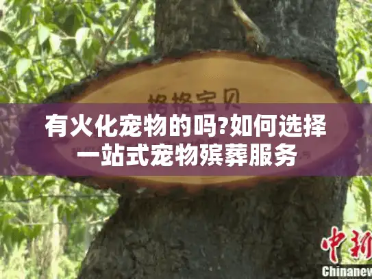 有火化宠物的吗?如何选择一站式宠物殡葬服务