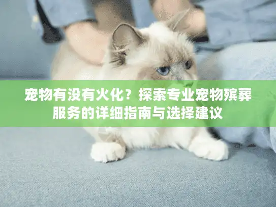 宠物有没有火化？探索专业宠物殡葬服务的详细指南与选择建议