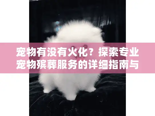 宠物有没有火化？探索专业宠物殡葬服务的详细指南与选择建议