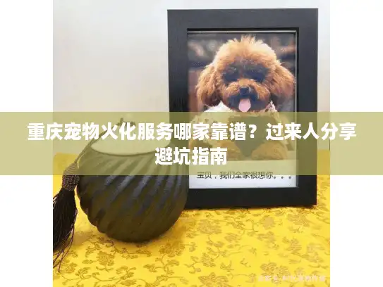 重庆宠物火化服务哪家靠谱？过来人分享避坑指南