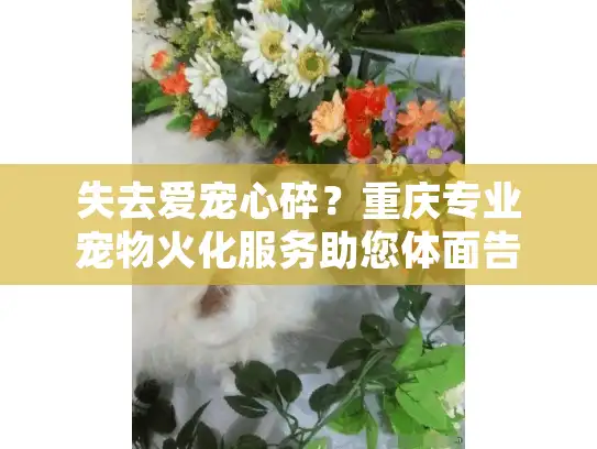失去爱宠心碎？重庆专业宠物火化服务助您体面告别