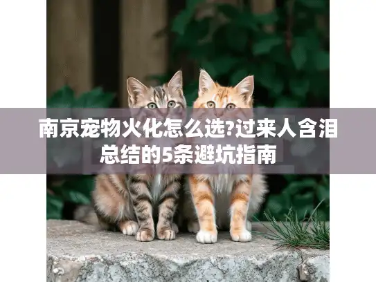 南京宠物火化怎么选?过来人含泪总结的5条避坑指南