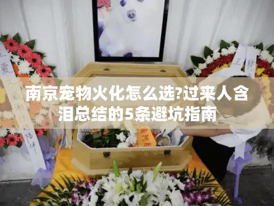 南京宠物火化怎么选?过来人含泪总结的5条避坑指南
