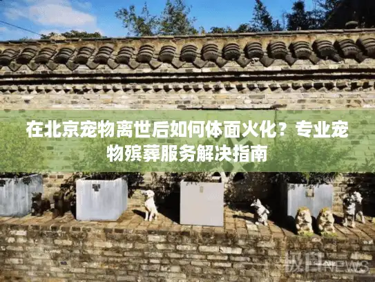 在北京宠物离世后如何体面火化？专业宠物殡葬服务解决指南