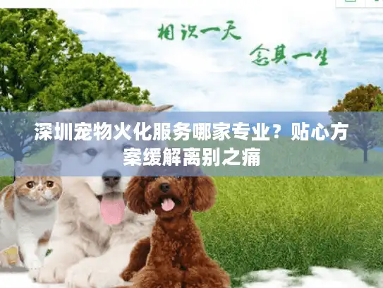 深圳宠物火化服务哪家专业？贴心方案缓解离别之痛