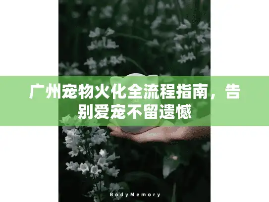 广州宠物火化全流程指南，告别爱宠不留遗憾