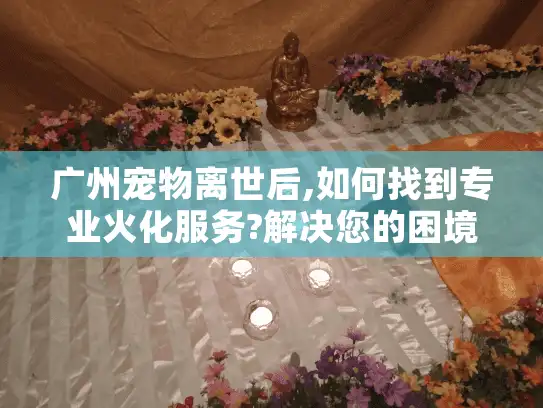 广州宠物离世后,如何找到专业火化服务?解决您的困境