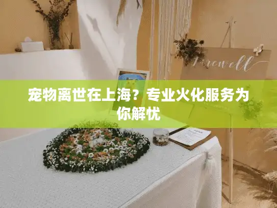 宠物离世在上海？专业火化服务为你解忧