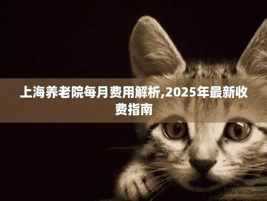 上海养老院每月费用解析,2025年最新收费指南