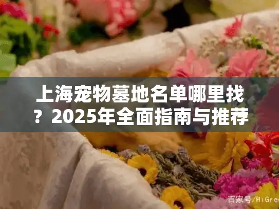上海宠物墓地名单哪里找？2025年全面指南与推荐方案