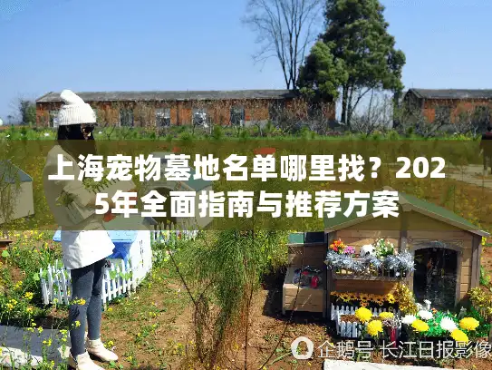 上海宠物墓地名单哪里找？2025年全面指南与推荐方案