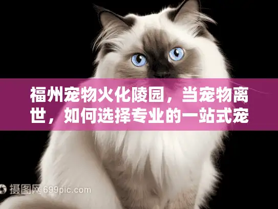 福州宠物火化陵园，当宠物离世，如何选择专业的一站式宠物殡葬服务？