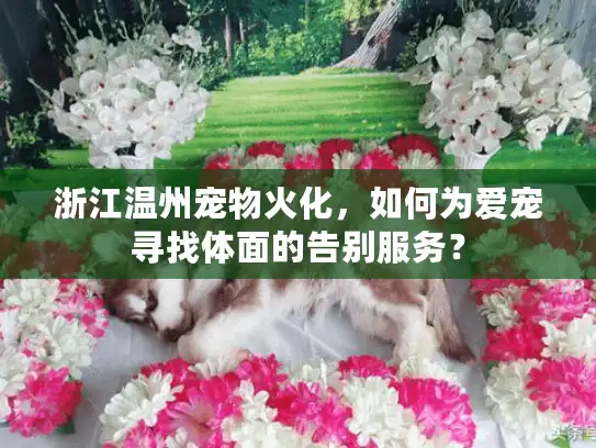浙江温州宠物火化，如何为爱宠寻找体面的告别服务？