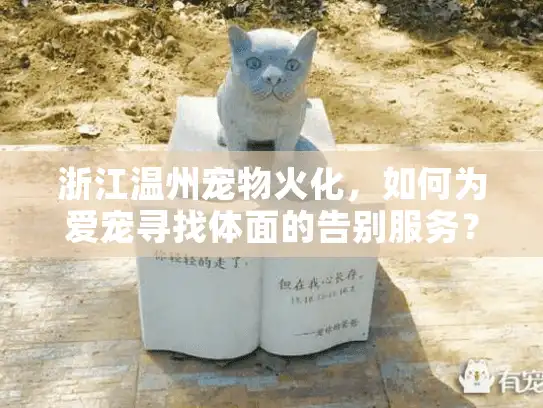 浙江温州宠物火化，如何为爱宠寻找体面的告别服务？