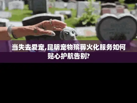 当失去爱宠,昆明宠物殡葬火化服务如何贴心护航告别?