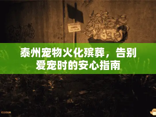 泰州宠物火化殡葬，告别爱宠时的安心指南