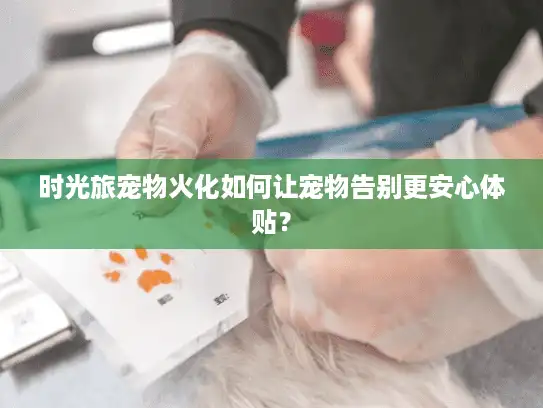 时光旅宠物火化如何让宠物告别更安心体贴？