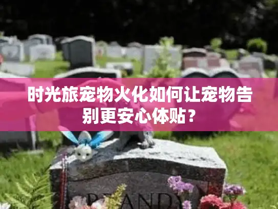 时光旅宠物火化如何让宠物告别更安心体贴？