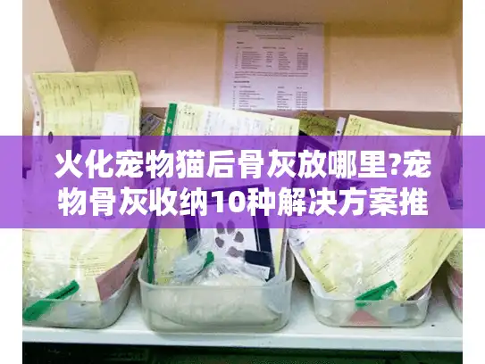 火化宠物猫后骨灰放哪里?宠物骨灰收纳10种解决方案推荐