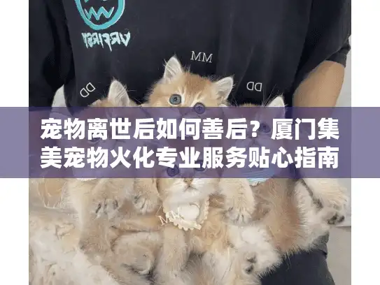 宠物离世后如何善后？厦门集美宠物火化专业服务贴心指南