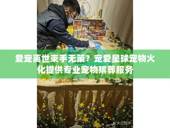 爱宠离世束手无策？宠爱星球宠物火化提供专业宠物殡葬服务