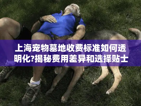 上海宠物墓地收费标准如何透明化?揭秘费用差异和选择贴士