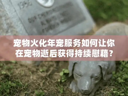 宠物火化年宠服务如何让你在宠物逝后获得持续慰藉？