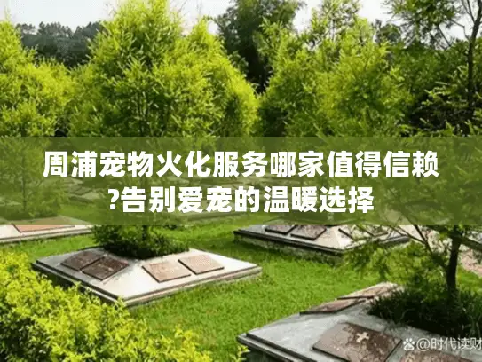 周浦宠物火化服务哪家值得信赖?告别爱宠的温暖选择