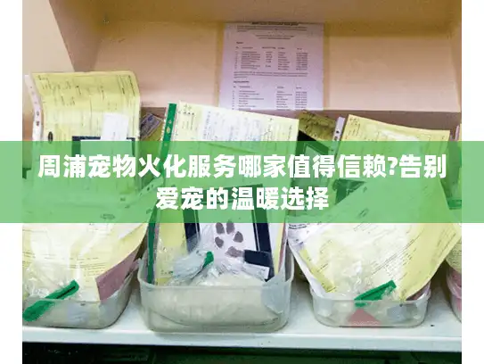 周浦宠物火化服务哪家值得信赖?告别爱宠的温暖选择