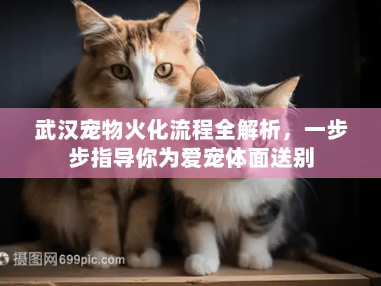 武汉宠物火化流程全解析，一步步指导你为爱宠体面送别