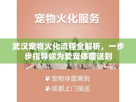 武汉宠物火化流程全解析，一步步指导你为爱宠体面送别