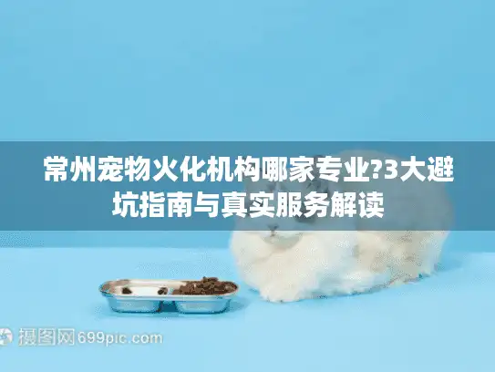 常州宠物火化机构哪家专业?3大避坑指南与真实服务解读