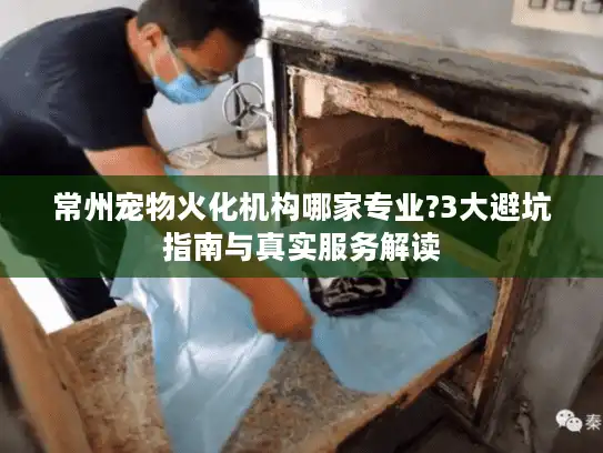 常州宠物火化机构哪家专业?3大避坑指南与真实服务解读