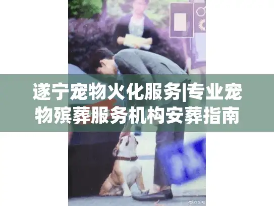 遂宁宠物火化服务|专业宠物殡葬服务机构安葬指南