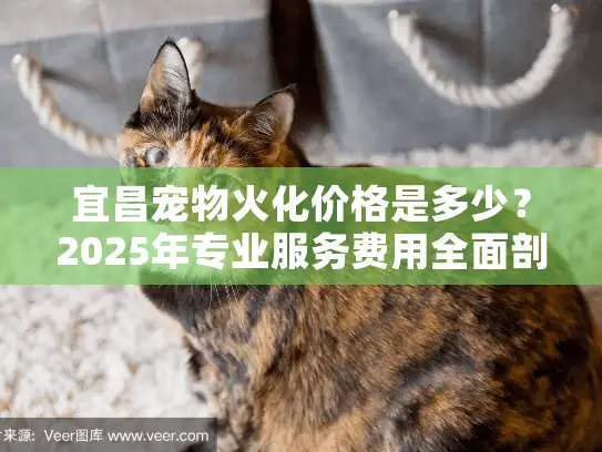 宜昌宠物火化价格是多少？2025年专业服务费用全面剖析