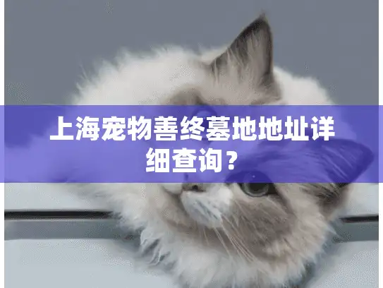 上海宠物善终墓地地址详细查询？