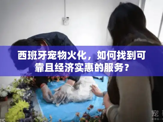 西班牙宠物火化，如何找到可靠且经济实惠的服务？
