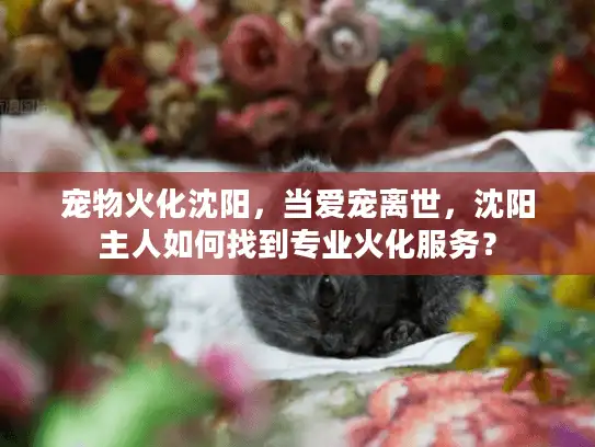 宠物火化沈阳，当爱宠离世，沈阳主人如何找到专业火化服务？