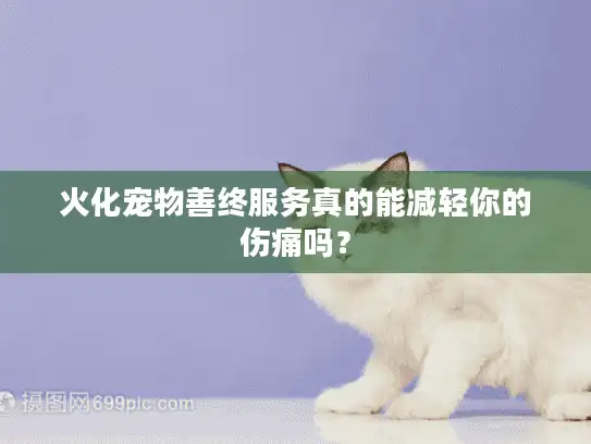 火化宠物善终服务真的能减轻你的伤痛吗？