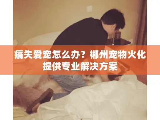 痛失爱宠怎么办？郴州宠物火化提供专业解决方案