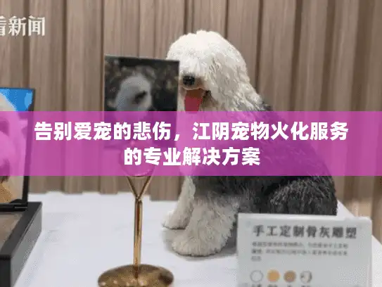 告别爱宠的悲伤，江阴宠物火化服务的专业解决方案