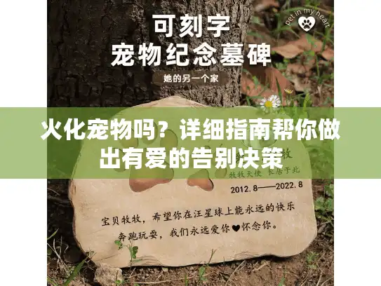 火化宠物吗？详细指南帮你做出有爱的告别决策