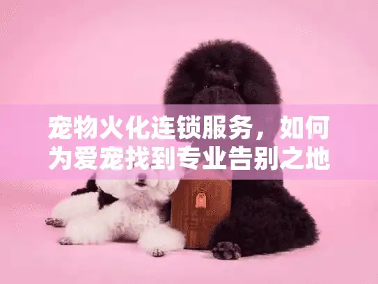 宠物火化连锁服务，如何为爱宠找到专业告别之地
