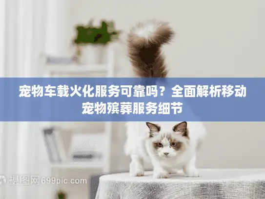宠物车载火化服务可靠吗？全面解析移动宠物殡葬服务细节