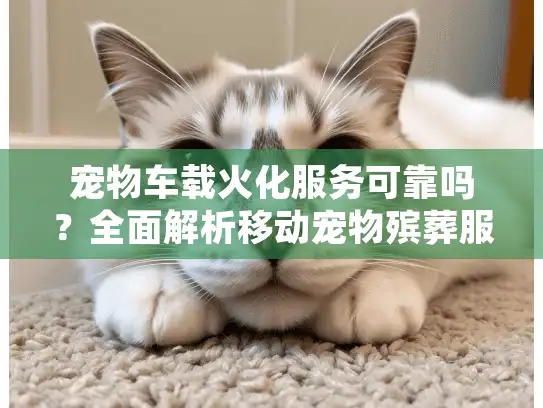 宠物车载火化服务可靠吗？全面解析移动宠物殡葬服务细节